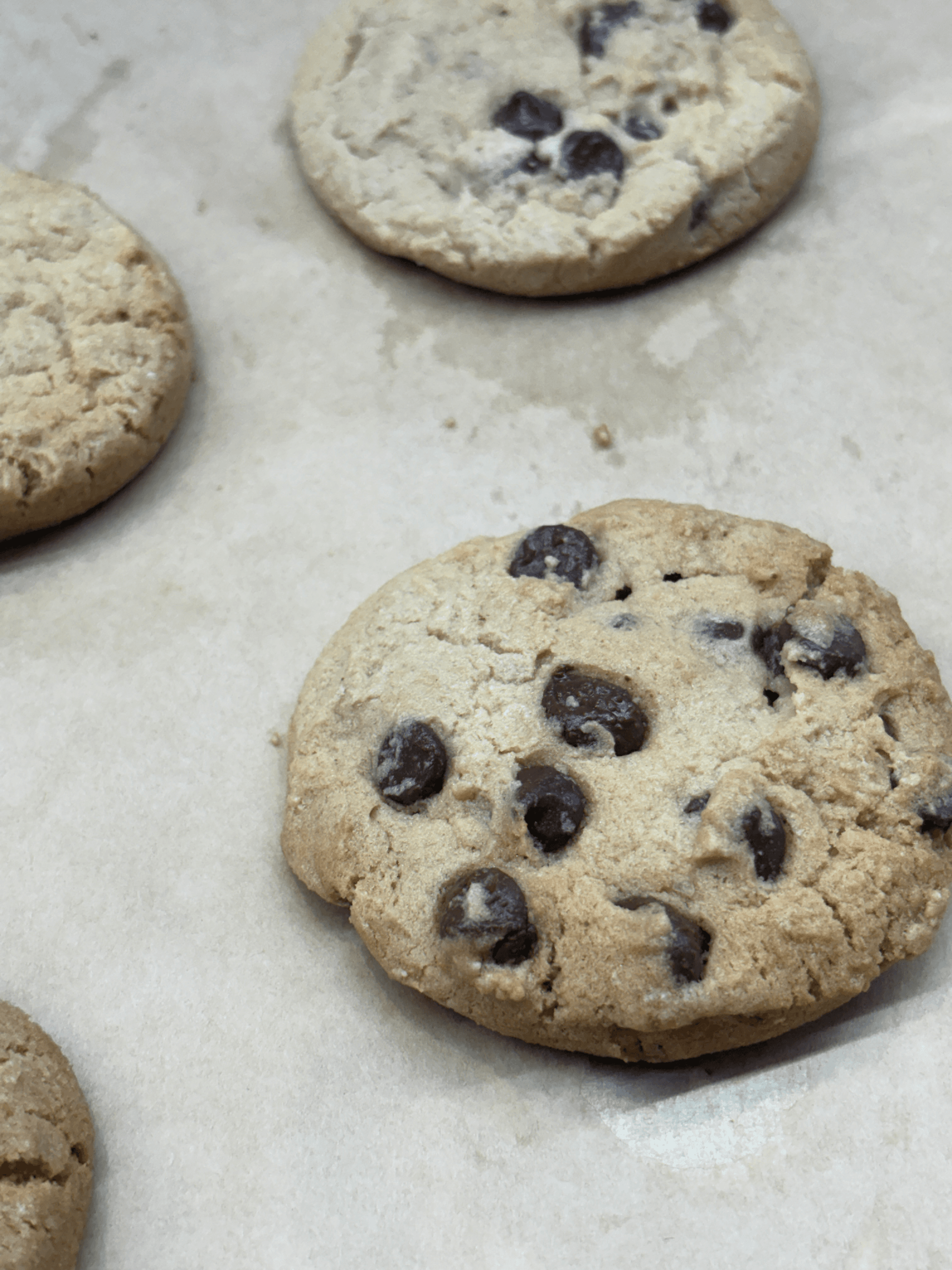 Chocolate Chip Cookie